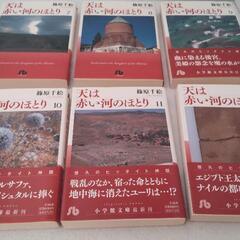天は赤い河のほとり 全巻（１〜１６巻）の画像