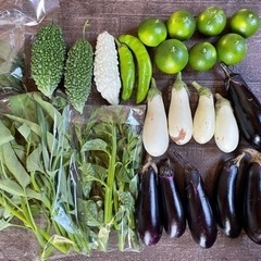 無農薬野菜　セット