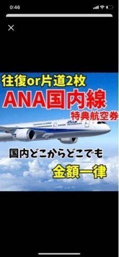 【往復】ana特典航空券　エアカナダ　国内全線使用可能