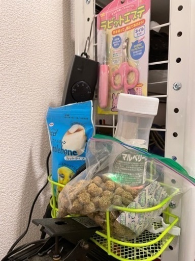 リクガメ飼育セット