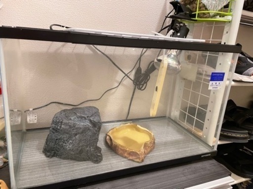 リクガメ飼育セット