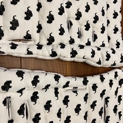 エアバギーココダブルの画像