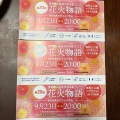 【残1枚】グリーンランド　ペアチケット　入園券　花火　無料券
