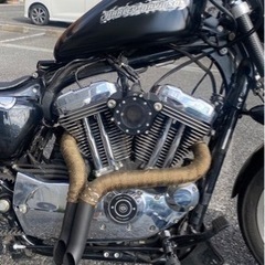 ハーレーダビットソン　スポーツスターの画像