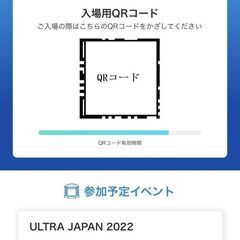 ウルトラジャパン2022／ULTRA　JAPAN　2022☆　9月18日（日）1日券×1枚