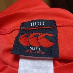 ニュージーランド土産のTシャツの画像