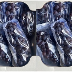 スチューベン 2箱(4キロ)贈答品 引き取り限定