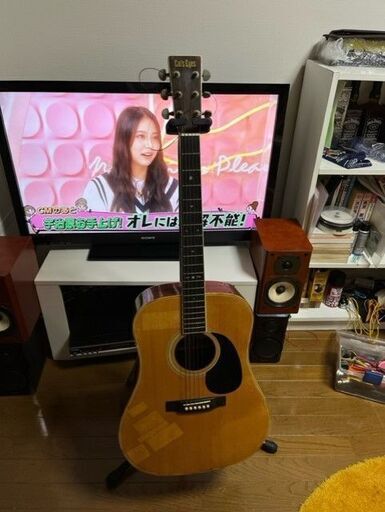 TOKAI 東海楽器 CATS EYES CE－300