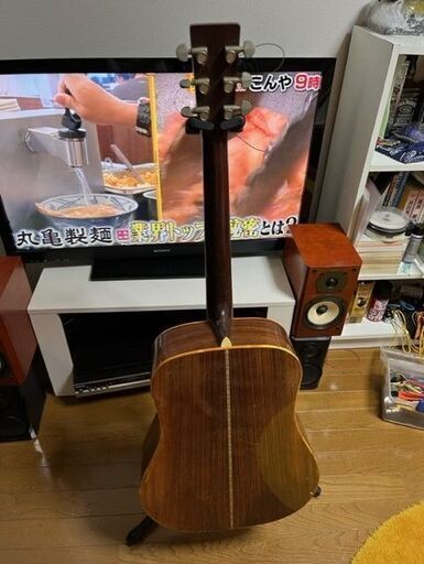 TOKAI　東海楽器　CATS　EYES　ＣＥ－３００