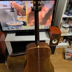 TOKAI　東海楽器　CATS　EYES　ＣＥ－３００の画像