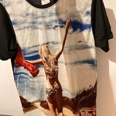 終了【新品200枚】無地T,柄入りT,段ボール7箱分の画像
