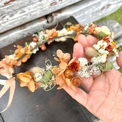 木ノ実いろいろtjgawの画像