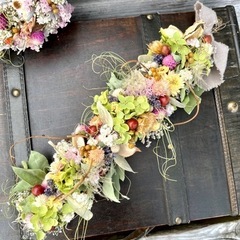 木ノ実いろいろtjgawの画像