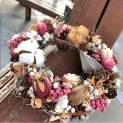 木ノ実いろいろtjgawの画像