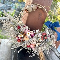 木ノ実いろいろtjgawの画像