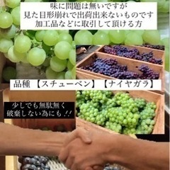 【専用】スチューベン加工用 10キロ ￥500～ご用意 引き取り...