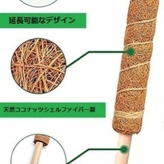 未使用　ココナッツ支柱の画像