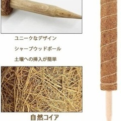 未使用　ココナッツ支柱の画像