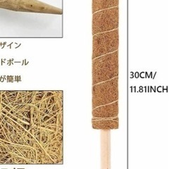 未使用　ココナッツ支柱の画像