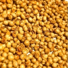 岡山県産　ムクナ豆パウダー100グラムの画像