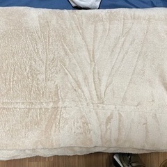 毛布 ブランケット 2点の画像