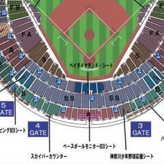 21日水ベイスターズ対巨人内野指定席
