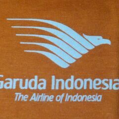 ガルーダ・インドネシア航空 Tシャツ M オレンジの画像