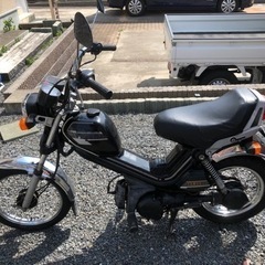 実働ポップギャル50