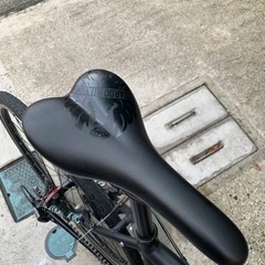 Bianchi camaleonte 1. 2018年