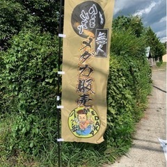 無人メダカやってます！夕方対面可能！