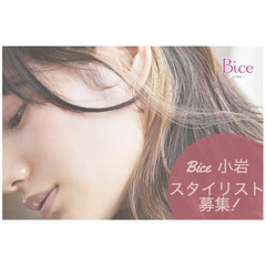 Bice 小岩 スタイリスト募集
