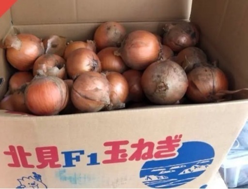 玉ねぎ生産量日本一!北海道北見産　10キロ