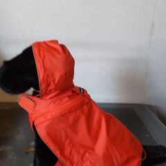 ドギーマン 犬　スポーティレインウェア 3号