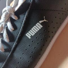 PUMA スニーカー 26cmの画像