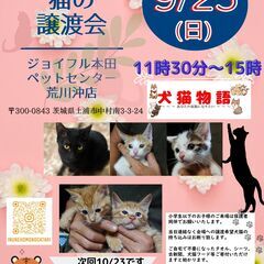 9月25日猫の譲渡会～あなたの家族になりたい～