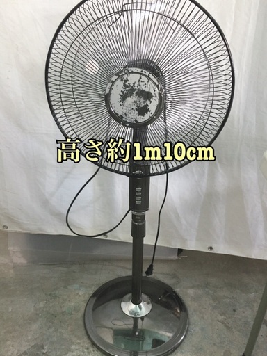 ハイリビング扇風機