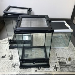 グラステラリウムナノhigh×2、グラスゾーン2020