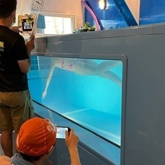 流水プール付きパーソナルジム「プールの家」会費なしの都度払いだから安心！ - 江東区