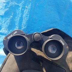 双眼鏡♪の画像