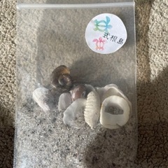 式根島の貝と砂の画像