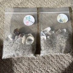 式根島の貝と砂