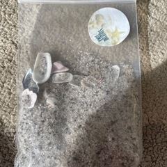 式根島の貝と砂の画像