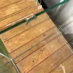 水槽GEXグラステリアキューブ300 【中古】　ガラスカケありの画像