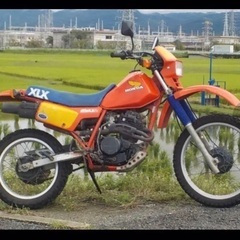 HONDA XLX250 125 50 旧車　ホンダ　ヴィンテー...