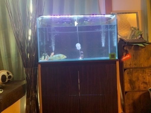 90センチガラス水槽引き取り限定