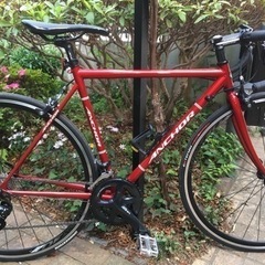 アンカー クロモリ NEOCOT RNC3 レッド