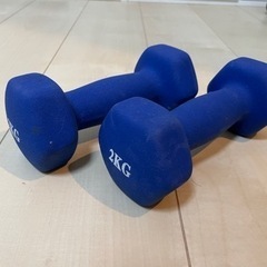 片手2キロのダンベル×2