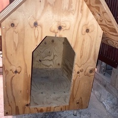 犬小屋