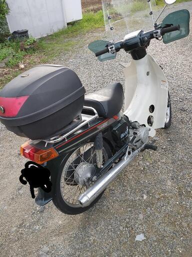 バーディ50です！