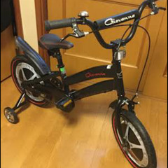 引取限定。差し上げます。庫内保管ほぼ未使用ジオバンナ16インチ　...